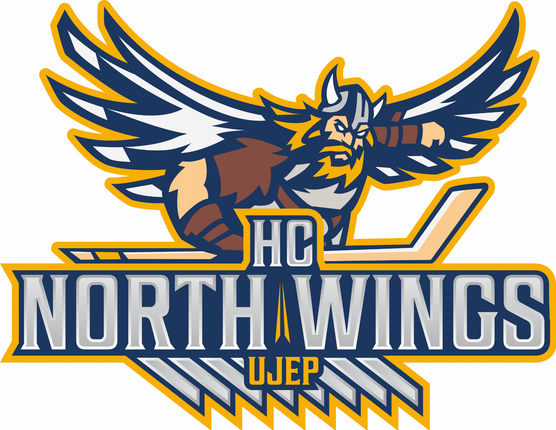 HC North Wings UJEP